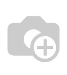 PRS GUITARS - SE HOLLOWBODY II LTD SLATE BLUE