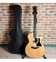 TAYLOR - 314 CE 2015 + CASE