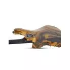 SCHECTER - C-1 HYDRO DIP GOLDEN ECLIPSE