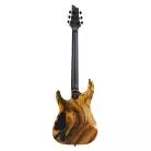 SCHECTER - C-1 HYDRO DIP GOLDEN ECLIPSE