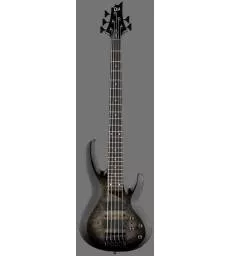 LTD - MODELE 200 -  B-205DX BLACK BURST
