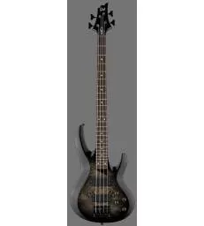 LTD - MODELE 200 -  B-204DX BLACK BURST
