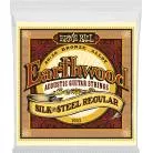 ERNIE BALL - EARTHWOOD 80/20 BRONZE REGULAR - SILKSTEEL 13-56