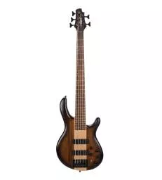 CORT - C5P-OVMH-ABB C5 PLUS ANTIQUE BROWN BURST