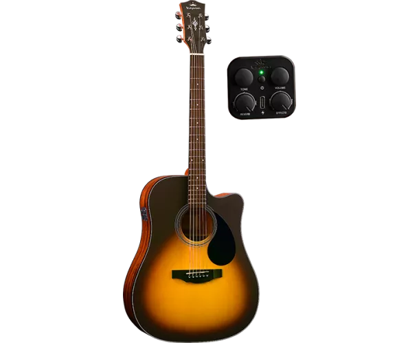 KEPMA GUITARS - PLYTONE...