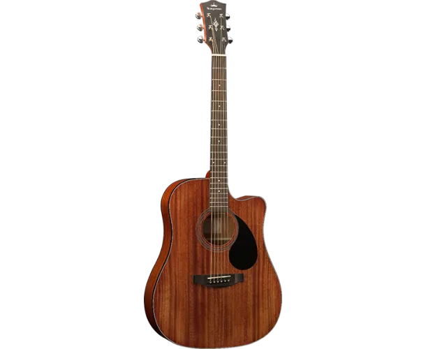 KEPMA GUITARS - PLYTONE...