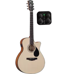 KEPMA GUITARS - PLYTONE...