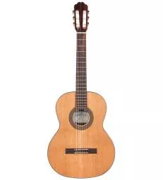 KREMONA - 310514 SOLOIST SERIES - F65C - CLASSIQUE LIVREE EN HOUSSE - TURAL