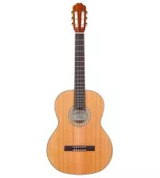 KREMONA - 311180 SOLOIST SERIES - S65C - CLASSIQUE LIVREE EN HOUSSE - TURAL