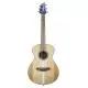BREEDLOVE - DSST31 DISCOVERY S COMPANION