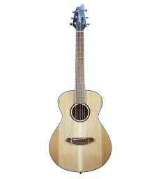 BREEDLOVE - DSST31 DISCOVERY S COMPANION