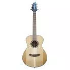 BREEDLOVE - DSST31 DISCOVERY S COMPANION