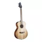 BREEDLOVE - DSST31 DISCOVERY S COMPANION