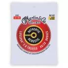 MARTIN - AUTHENTIC TREATED  LIGHT  80/20