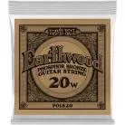 ERNIE BALL - EARTHWOOD PHOSPHORE BRONZE 020