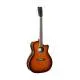CORT - EX-GA-WSS EXOTIC GA NOYER