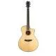 BREEDLOVE - ORO26CE OREGON CONCERTO CE NATUREL