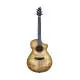 BREEDLOVE - PESC66CESW PURSUIT EX S CONCERT CE SWEETG