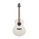 BREEDLOVE - DSSC212 DISCOVERY S CONCERT