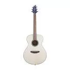 BREEDLOVE - DSSC212 DISCOVERY S CONCERT