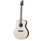 BREEDLOVE - DSSC212 DISCOVERY S CONCERT