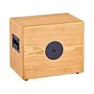 ORTEGA - STWO ENCEINTE 150W/4 OHMS HP 8"
