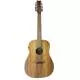 COLE CLARK - FL2E-12-BLBL FL2A3 12 CORDES ETUI
