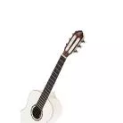 ORTEGA - R121-12WH 1/2 R121 EPICEA  BLANC