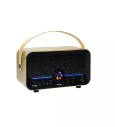MOOER - F15ILI-GD AMPLI F15I LI 15W DORE