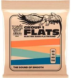 ERNIE BALL - FLATWOUND GROUP I 55-110