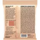 ERNIE BALL - FLATWOUND GROUP I 55-110