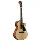ALVAREZ - AF30CE ARTIST