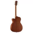 ALVAREZ - AF30CE ARTIST