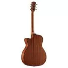 ALVAREZ - AF30CE ARTIST
