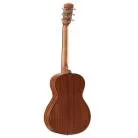 ALVAREZ - DELTA DELITE A. BLUES