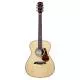 ALVAREZ - MF60EHFHB MASTERWORKS