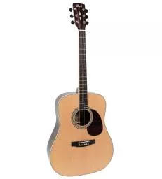 CORT - E100RWNAT EARTH100RW F/E PALISSANDRE