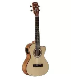 ALVAREZ - RU26TCE REGENT UKE