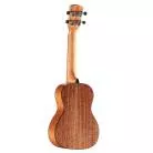 ALVAREZ - AU66CSHB ART. UKE