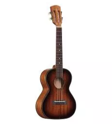 ALVAREZ - AU66TSHB ART. UKE