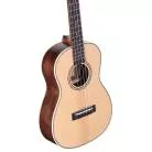 ALVAREZ - AU70WB ART. UKE