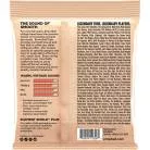 ERNIE BALL - FLATWOUND GROUP III 45-100