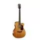 CORT - GOLDOC6BNAT GOLD OC6 NATUREL BRILLANT