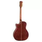 CORT - GOLDA8BLB GOLD A8 LIGHT BURST