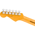 FENDER - AMERICAN PROFESSIONAL STRATOCASTER ROSEWOOD FINGERBOARD DARK NIGHT