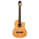 ORTEGA - RCE131 R131 CEDRE MASSIF  CW EQ