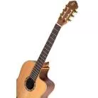 ORTEGA - RCE131 R131 CEDRE MASSIF  CW EQ