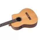 ORTEGA - RCE131 R131 CEDRE MASSIF  CW EQ