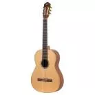 ORTEGA - R131 CEDRE MASSIF
