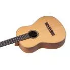 ORTEGA - R131 CEDRE MASSIF